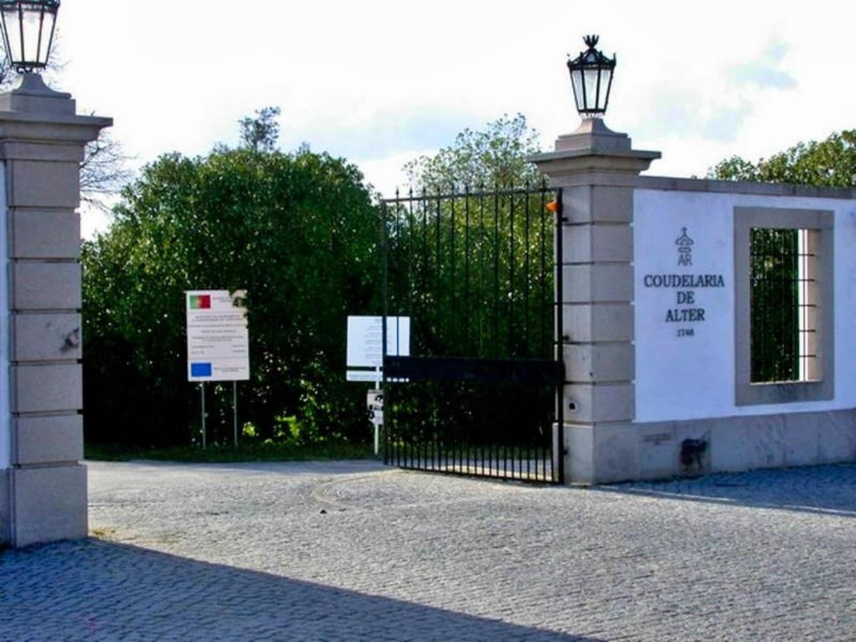 6 Persoons Vakantiewoning Portugal - Casa Do Balao - En - Casa Pequeno Pintor Figueira e Barros Dış mekan fotoğraf