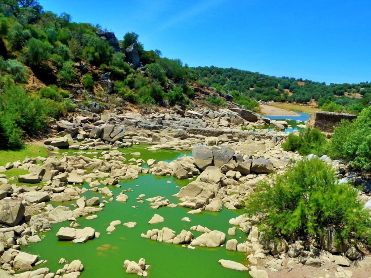 6 Persoons Vakantiewoning Portugal - Casa Do Balao - En - Casa Pequeno Pintor Figueira e Barros Dış mekan fotoğraf